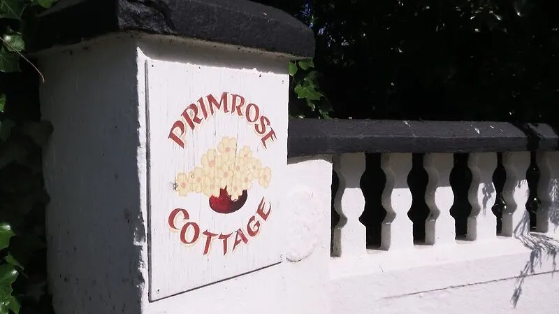 Bansha House-1